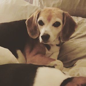 Meet your Posher, Keiko